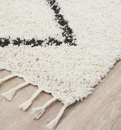Braided Area Rug